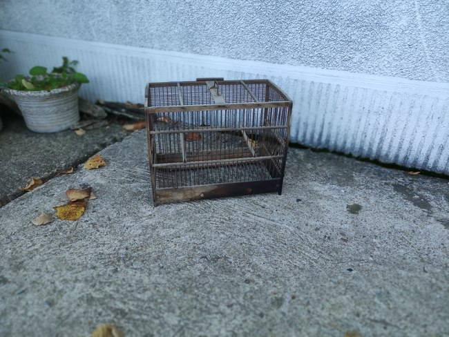 160-IMG_20221012_114239