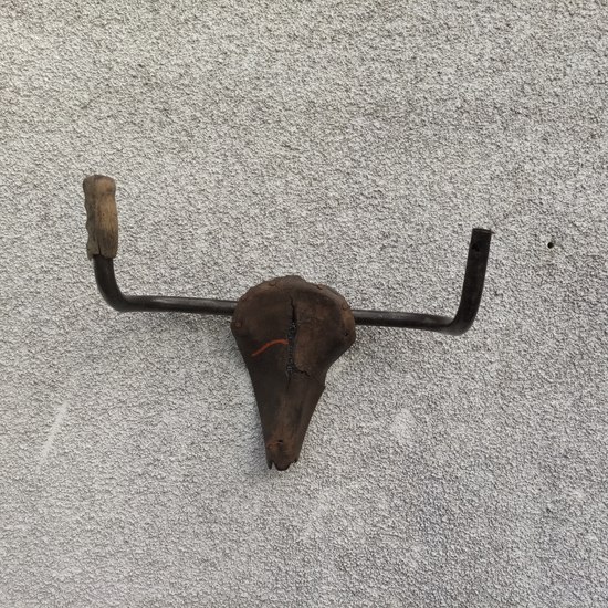 143-IMG_20230314_154120