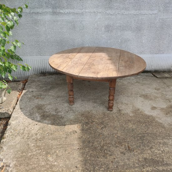 137-IMG_20230830_141900-001