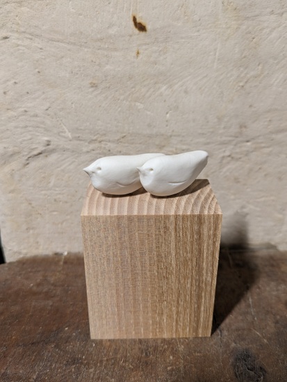 20-PXL_20231120_094146335