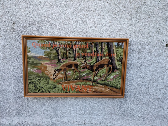 113-PXL_20240111_120745430