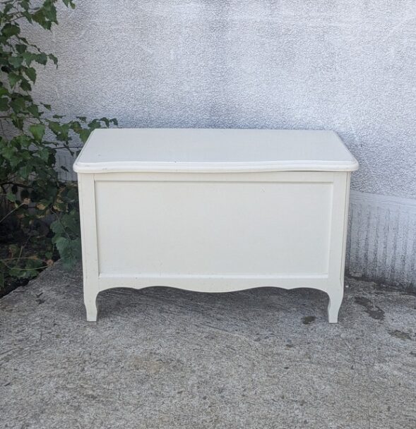 coffre à jouets, brocante en ligne (1)